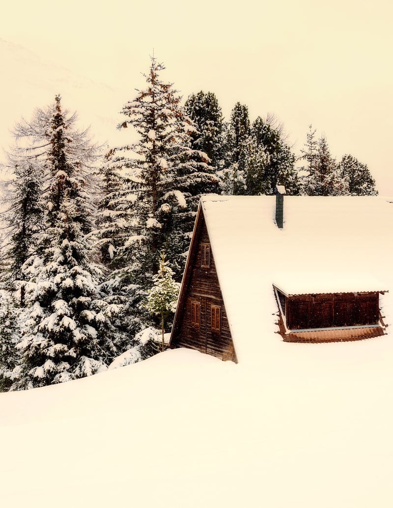 Unwind at Secluded Cabins